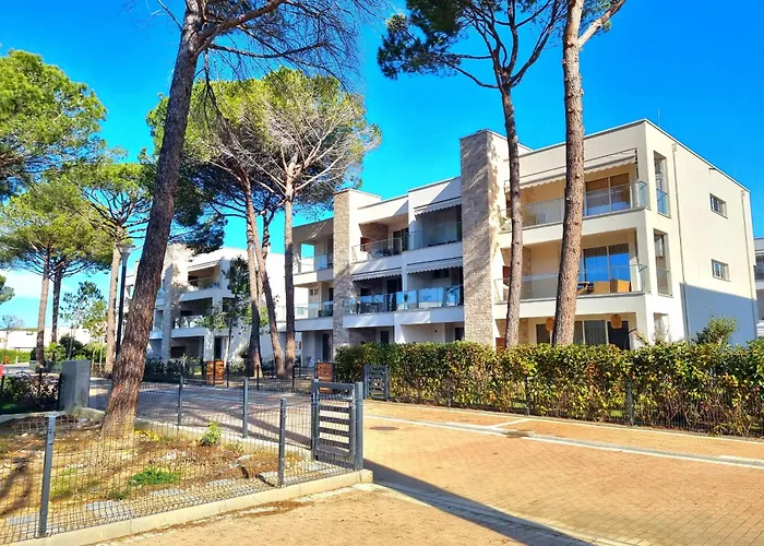 Sandy - 291 * دراس